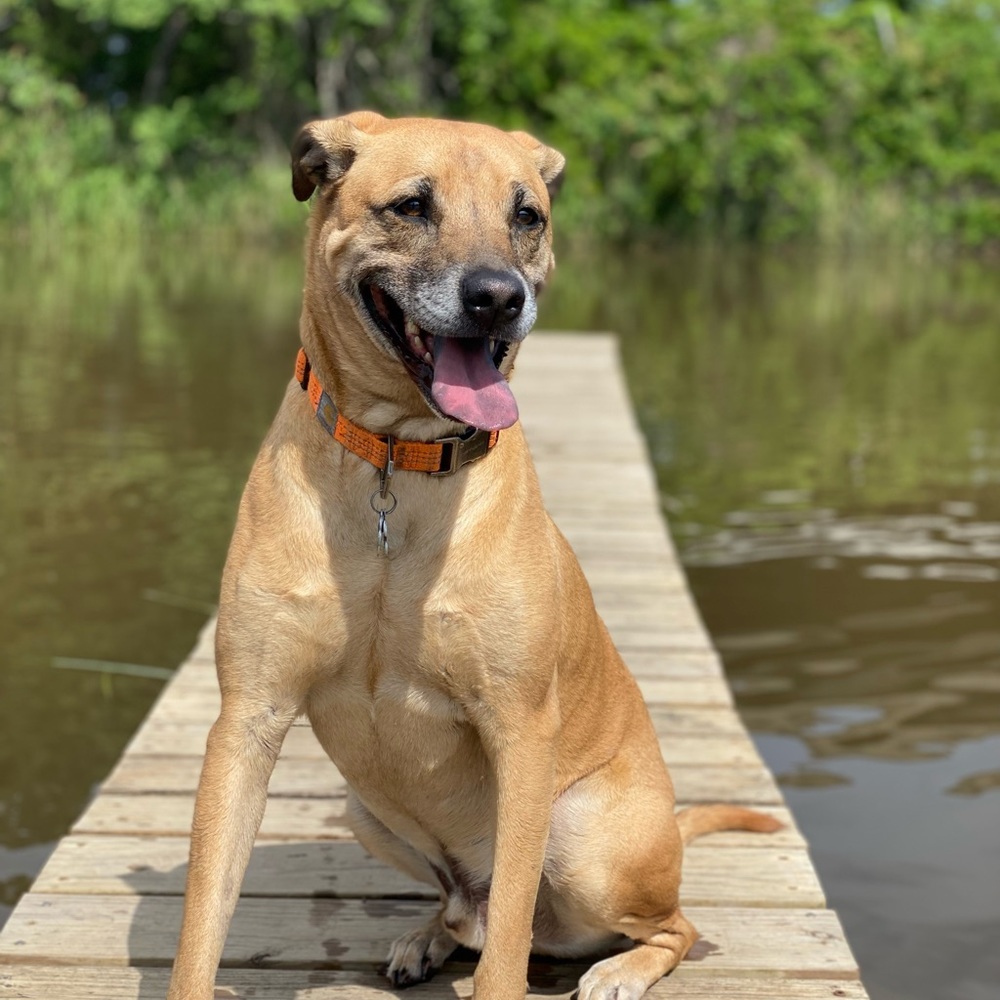 Meet your Posher, Crystal